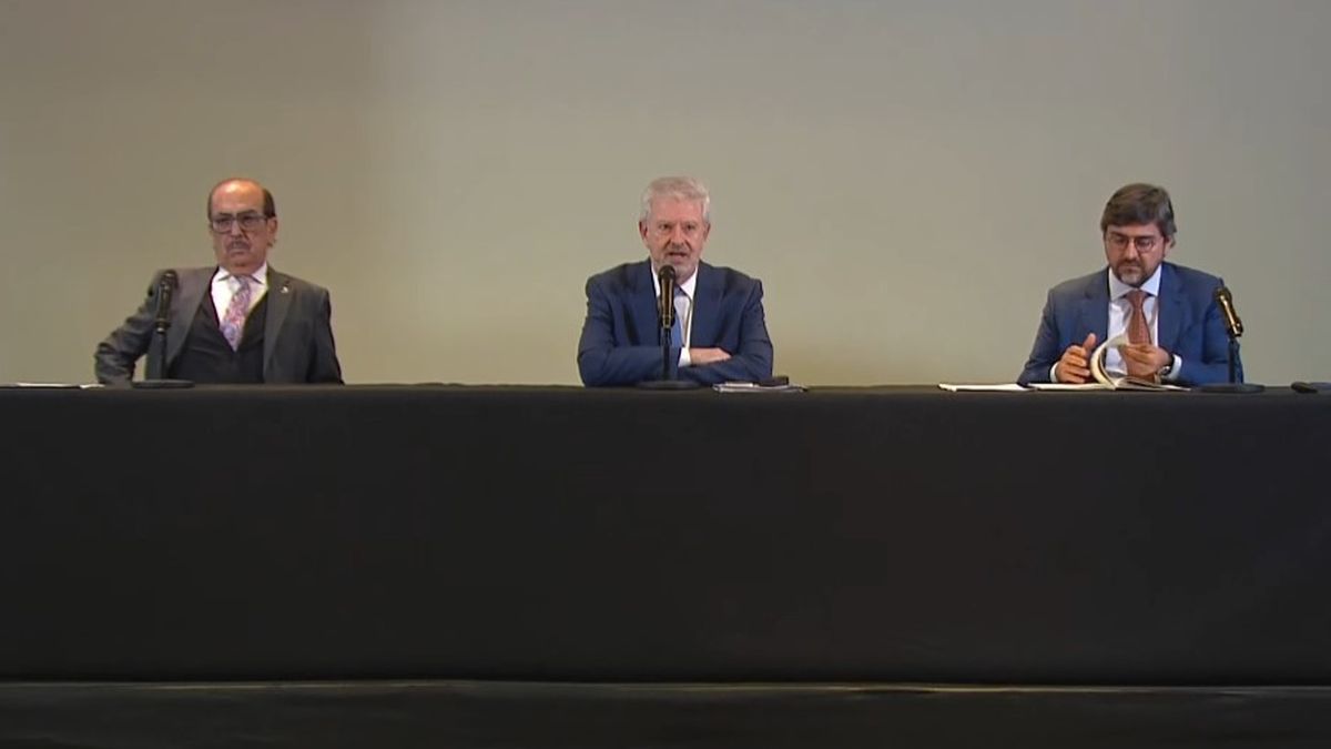 Alberto Beraldi, Rafael Valim y Javier Borrego brindaron una conferencia de prensa para explicar la presentación realizada ante el Comité de Derechos Humanos de la ONU. (Foto: captura de pantalla)
