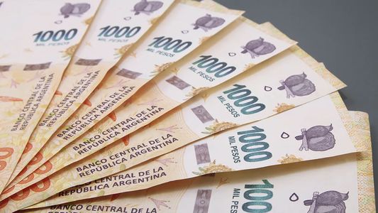 PLAZO FIJO en la era Milei: CUÁNTO GANO depositando $600 mil con la NUEVA TASA