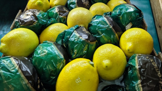 Limones a China: la primera exportación saldrá a fin de mes y será de 24 toneladas