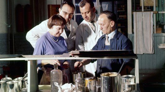 Renault y los colores de sus autos