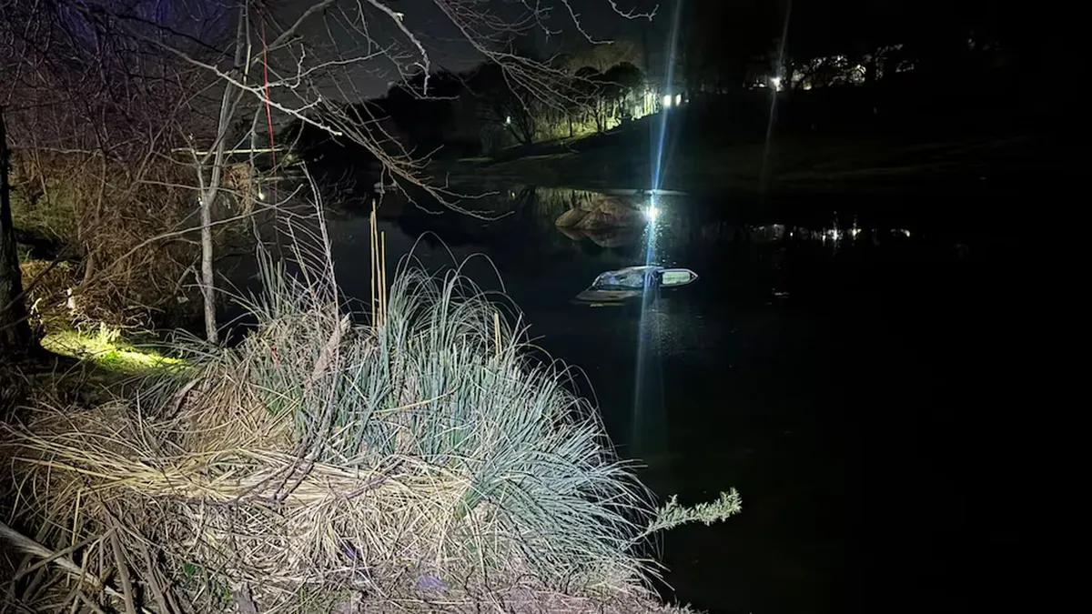 Investigan los motivos por los que el auto cayó al agua. 
