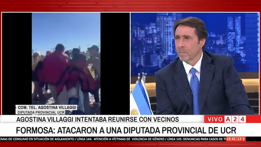 Una diputada radical denunció que fue golpeada por una patota ligada a Gildo Insfrán en Formosa