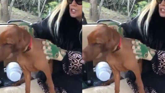 Divertido video de Susana Giménez con Rita: Se vuelve cada día más loca