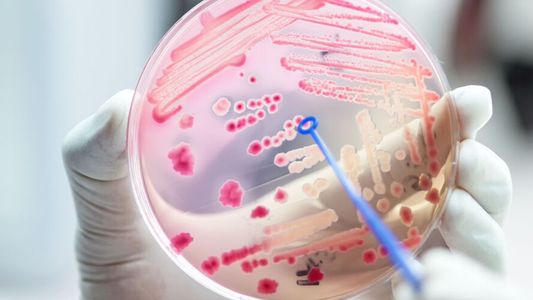 La revolución científica de los superantibióticos para luchar contra las superbacterias