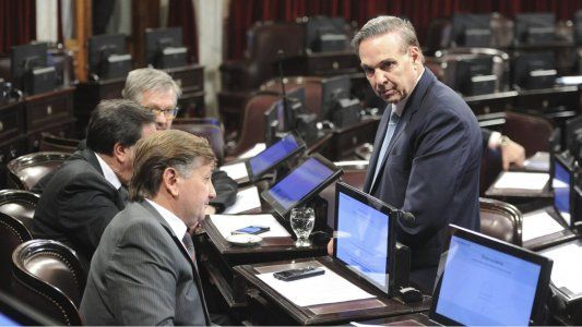 Pichetto se entusiasma con el aborto: “Creo que el tema es imparable”