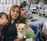 Encontró mensajes en el celular de su novio, le reclamó y todo terminó de la peor manera