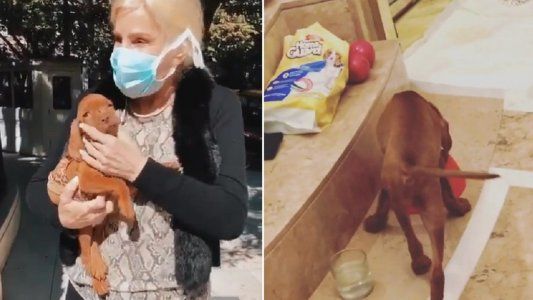 ¡Otra vez! El video que subió Susana Giménez a Instagram por error