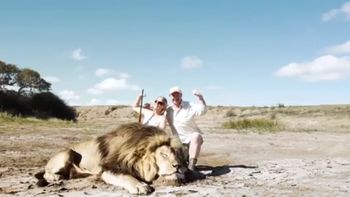 Polémica Vannucci - Garfunkel: El video viral donde un león se come a una pareja de cazadores