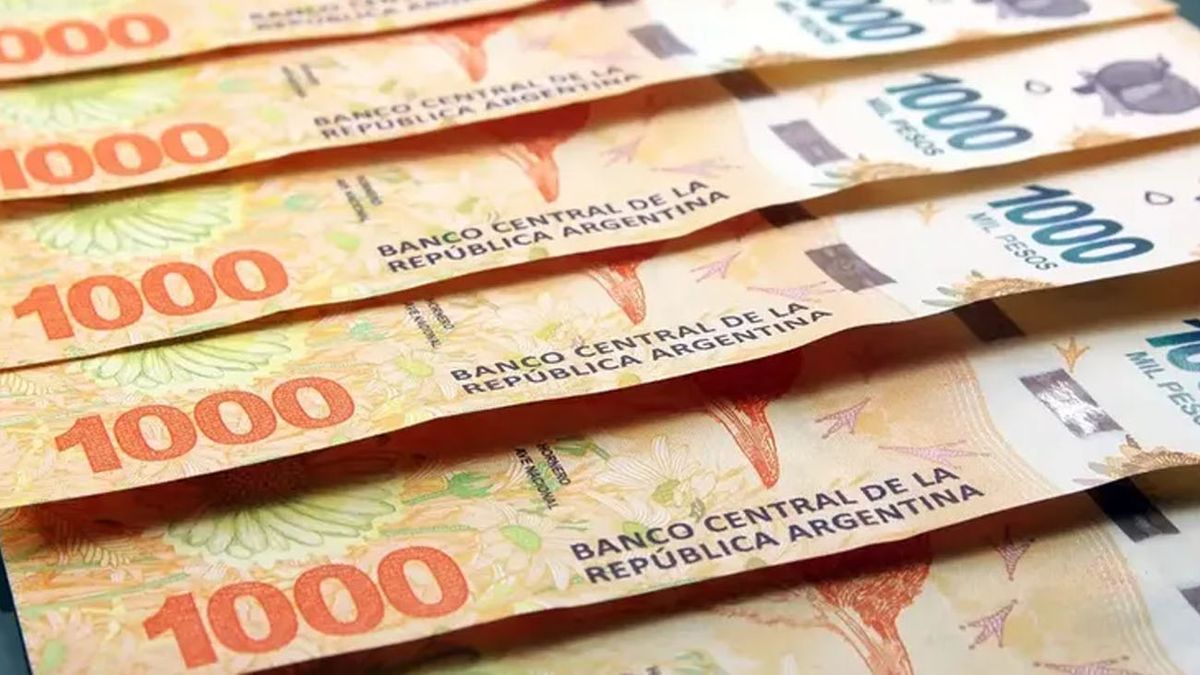 Nueva tasa de interés para el PLAZO FIJO: cuánto gano si deposito $70 MIL al mes (Foto: archivo)