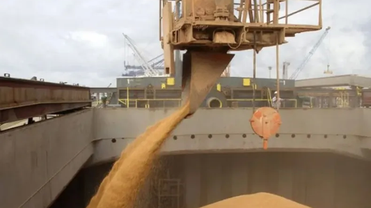 Comienzan las primeras exportaciones a España de harina de soja libre de deforestación