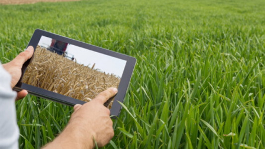 La brecha productiva: una oportunidad de mejora para el campo argentino
