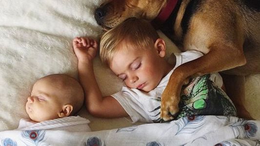El perro y el niño que dormían la siesta juntos crecieron y suman compañía