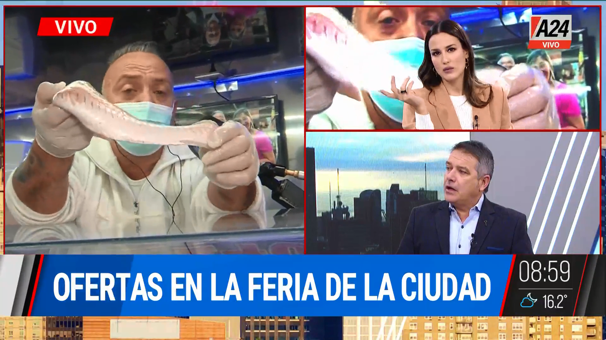 De feria: ¿cuánto cuesta el pescado y cómo aprovecharlo? (Captura de Tv)