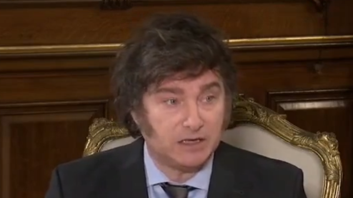 Javier Milei dijo que si el Congreso rechaza el DNU llamaría a un plebiscito. (Captura)