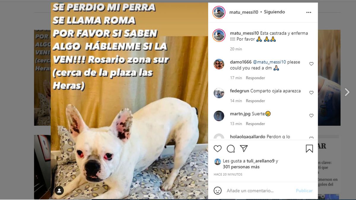 El pedido de Mat&iacute;as Messi por su perra extraviada.&nbsp;