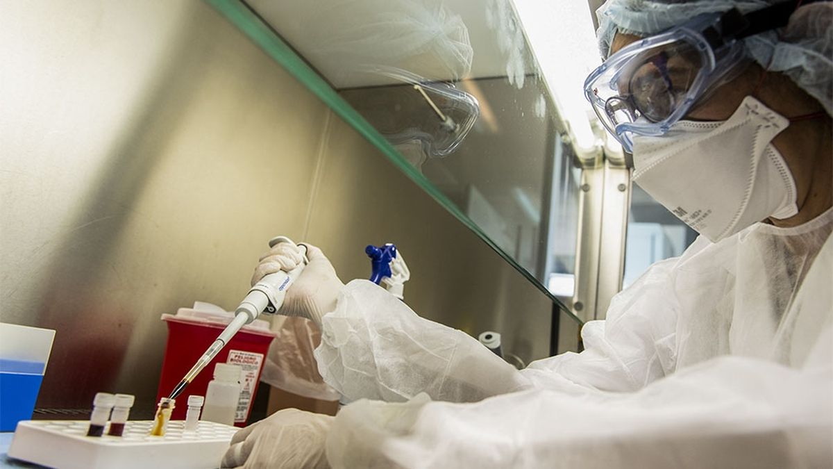 La variante uruguaya&nbsp; fue detectada gracias a un estudio hecho por los investigadores del Grupo de Trabajo Interinstitucional