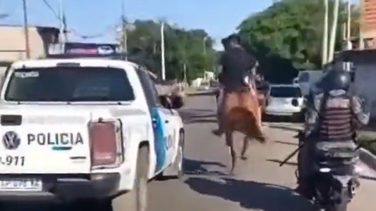 Dos delincuentes fueron detenidos tras una increíble persecución luego de intentar huir a caballo