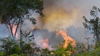 en medio del aumento de incendios forestales en el amazonas, bolsonaro salio a defender su politica medioambiental