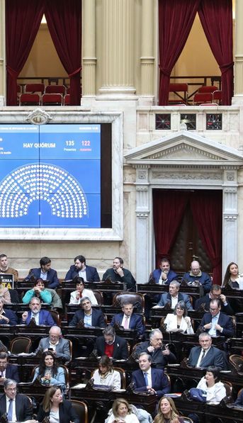 La oposición en Diputados busca sesión clave para revertir vetos y aprobar proyectos