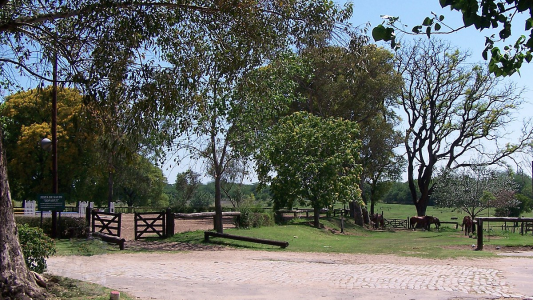 Fuerzas Armadas: volverán a usar campos para producción agropecuaria