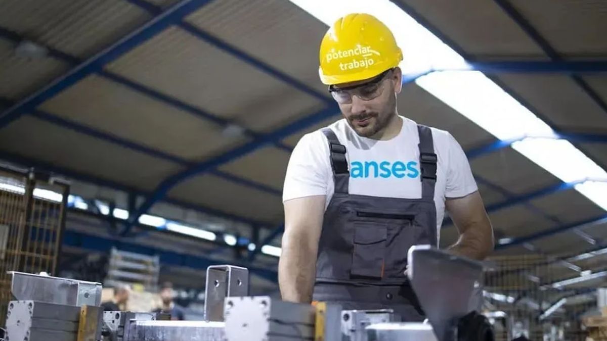 Las TRES grandes noticias de Milei para los titulares del el Ex Potenciar Trabajo (Foto: archivo)