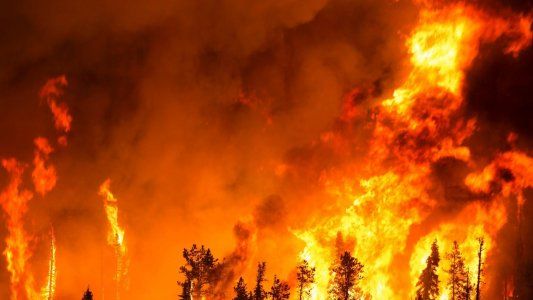 Incendios: se quemó casi el 4% de Corrientes y los productores hablan de caos alimentario para el ganado