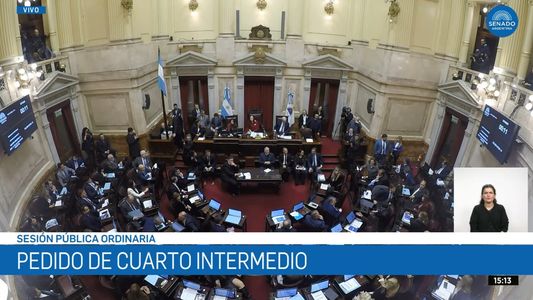 El Senado postergó hasta el 6 de agosto el debate por la ley de Inviolabilidad de la Propiedad Privada