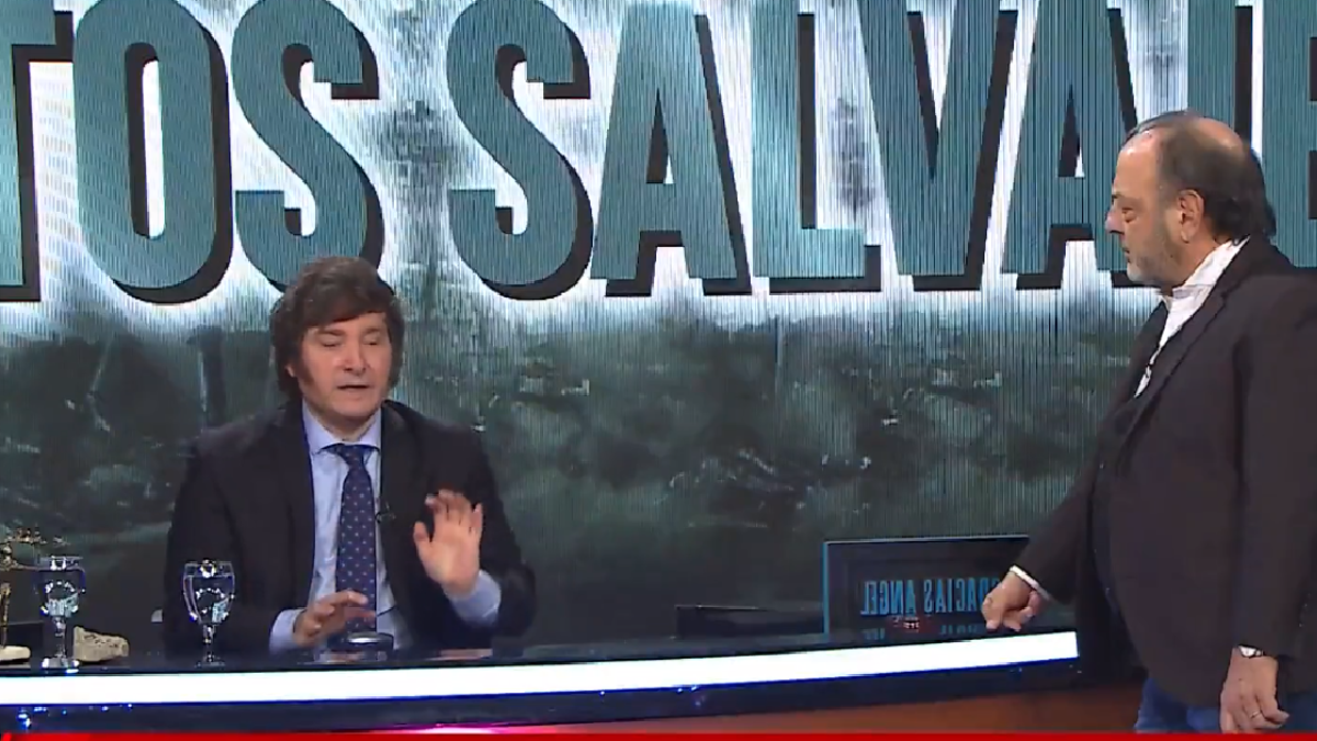 La reacción de Javier Milei tras las denuncias por sus candidaturas (Foto: captura)
