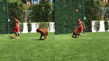 Messi le hizo sombreritos a su perro Hulk y sus hijos quedaron fascinados