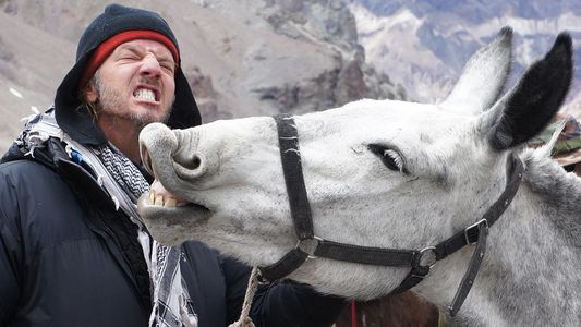 Facundo Arana subió un video concientizador sobre la vida animal