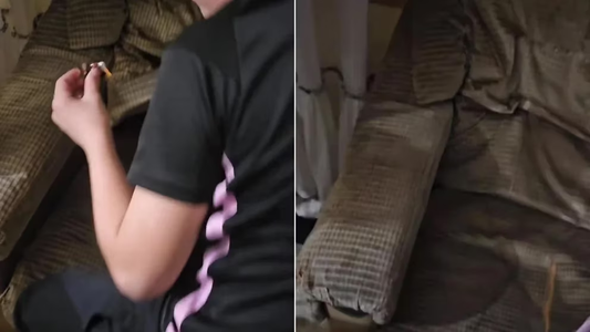 Escucharon ruidos raros en el sillón de la abuela y la sorpresa fue gigante: Un porr...