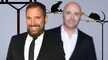 Pablo Duggan: Estaba comiendo en el patio y vi cinco ratas paseando por el tensor del toldo