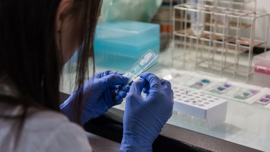 Mieloma múltiple: ANMAT aprobó una droga que reduce un 40% el riesgo de muerte