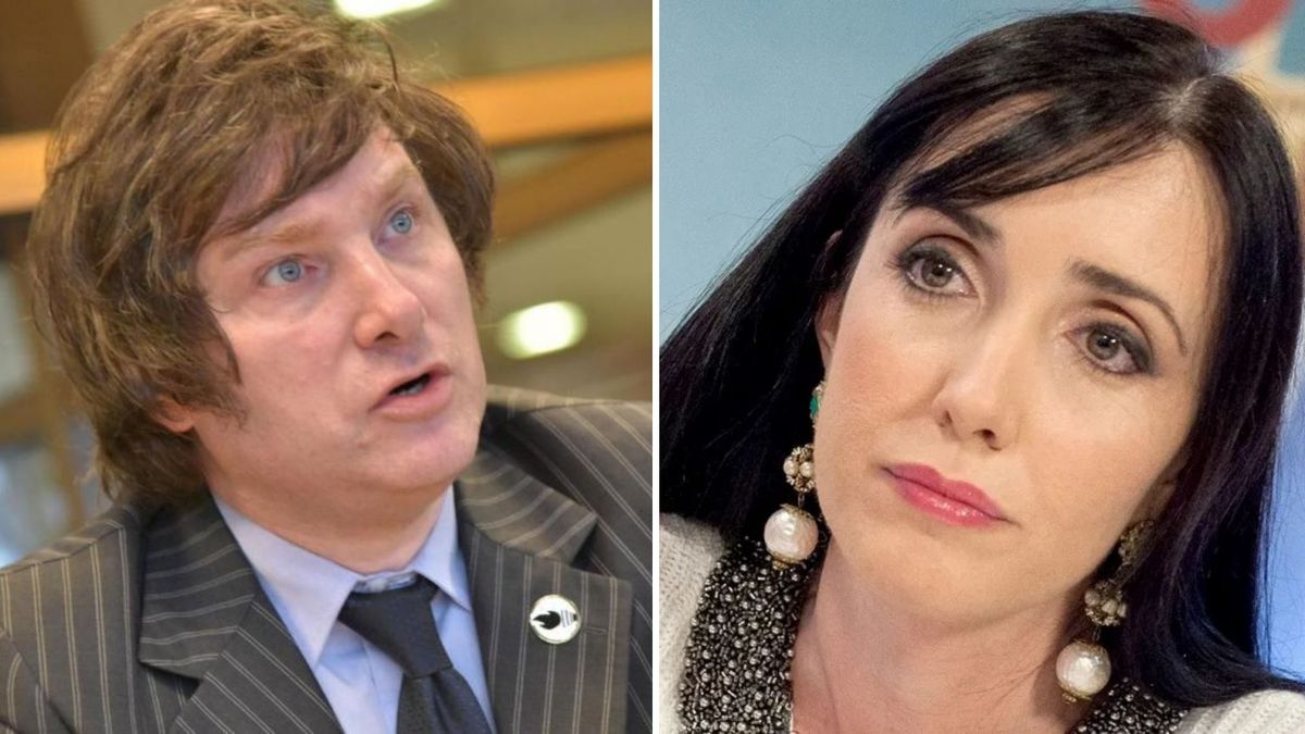 Javier Milei y Victoria Villarruel encabezarán la fórmula presidencial de La Libertad Avanza (Foto: archivo).