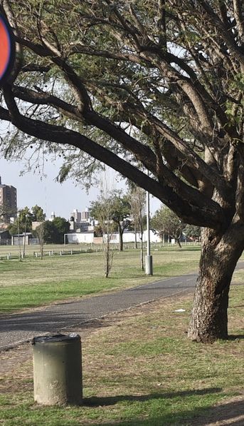 Intendente de Santa Fe salió a caminar y ladrones armados le robaron las zapatillas