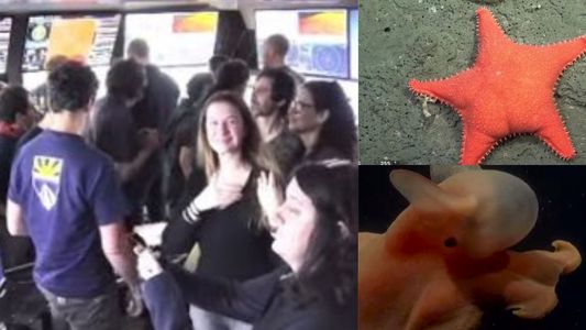 Terminó el streaming del Conicet: el emocionante mensaje final de la expedición en el Mar Argentino