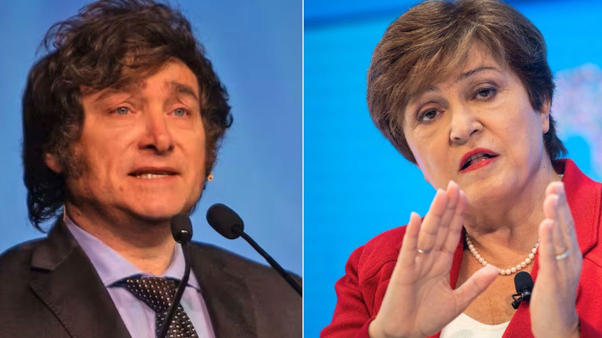 El FMI pide a Javier Milei un plan de estabilización fuerte y con respaldo político (Foto: archivo)