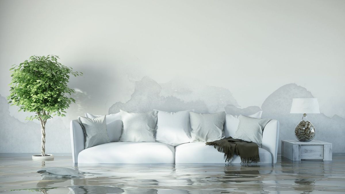 ¿Lluvias intensas? El truco infalible para prevenir las inundaciones en casa y evitar la humedad.
