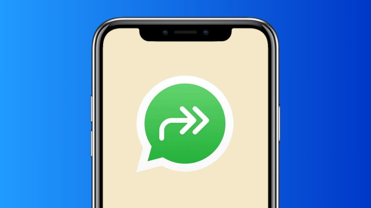 Para qué sirve el ícono de doble flecha en WHATSAPP Para qué sirve el ícono de doble flecha en WHATSAPP