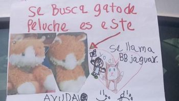 Una niña ofrece una tierna recompensa para encontrar a su gato de peluche
