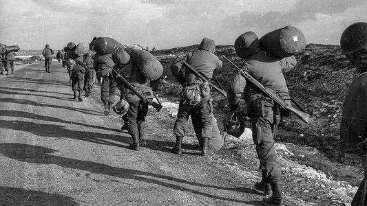 Malvinas: el documento que mantiene vigente el reclamo de soberanía y el recuerdo del histórico acto del Papa por la paz