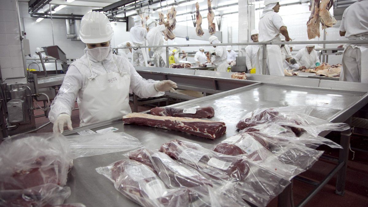 El ministerio de Agricultura estableció nuevos requisitos para incribirse como exportador de carnes