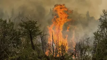 Chubut en alerta máxima por un incendio que avanza sin control y obligó a una evacuación