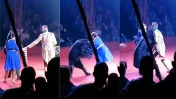 ¡Impactante! Un oso atacó a una mujer embaraza en pleno show