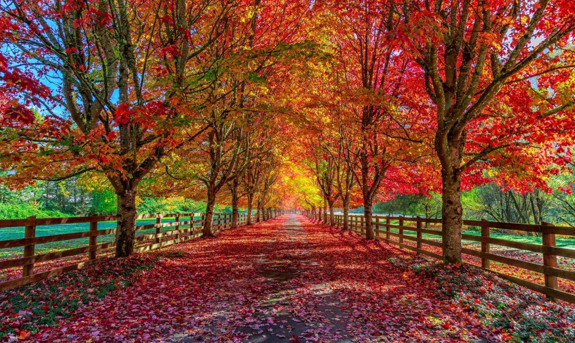 Equinoccio de otoño: ¿qué es, por qué se llama así y cuánto durará?