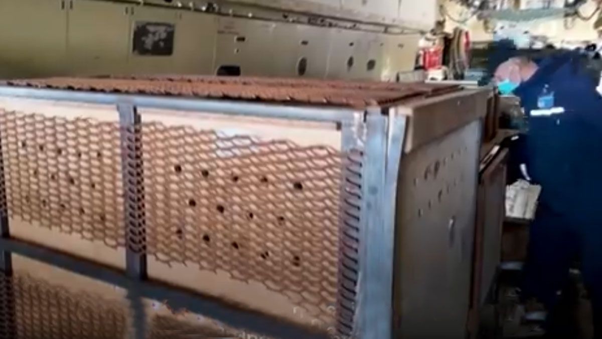 70 animales salvajes y silvestres, el particular regalo a Kim Jong-un por parte de Putin. (foto: Captura de TV)