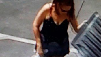 Indignante: una mujer tiró a la basura a siete cachorros