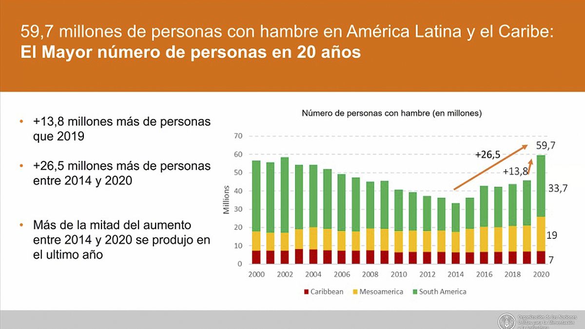 Casi 60 millones de personas con hambre en la región. Según la FAO es la cifra más dura en 20 años. 