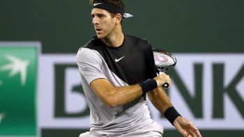 Juan Martín Del Potro no jugará los Juegos Olímpicos de Tokio 2021