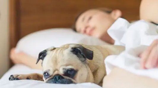 Descanso y vuelta a clases: ¿Cómo retomar la rutina de horarios con niños post vacaciones?